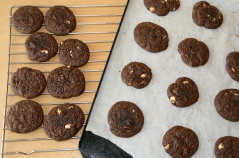 Chocolate Chewy Brownie Cookies