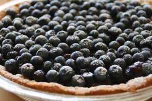 Dorothy's Fresh Blueberry Pie | ShockinglyDelicious.com