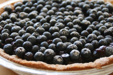 Dorothy's Fresh Blueberry Pie on Shockingly Delicious