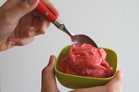 5-Minute Strawberry Sherbet in the Food Processor on Shockingly Delicious