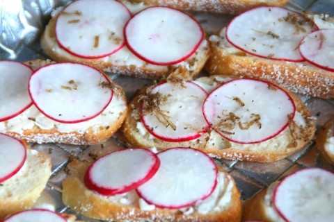 Radish and Truffle Butter Tartines -- Trufflepalooza Best Appetizer!