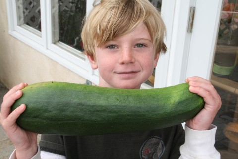 Bowen and the very large zucchini