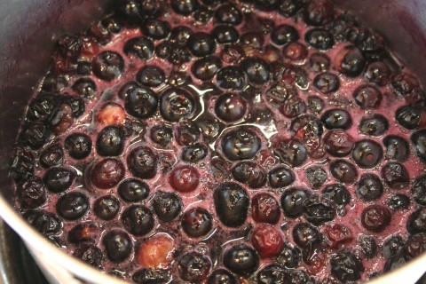 Fresh Blueberry Sauce