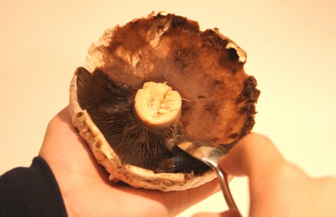 Boursin Mushrooms from Jean-Michel Cousteau