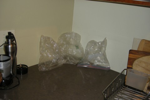 Plastic Bag Washing Club member Betsy Lombard | www.ShockinglyDelicious.com
