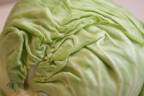 Head of cabbage on Shockingly Delicious