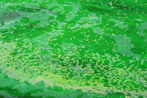 Dying the Chicago River green for St. Patrick's Day