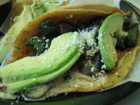 Rubios Grilled Portobello Poblano Gourmet Taco from Shockinglydelicious.com