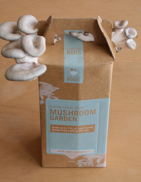 Grow Your Own Mushrooms