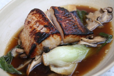 Miso Glazed Black Cod at True Food Kitchen on Shockinglydelicious