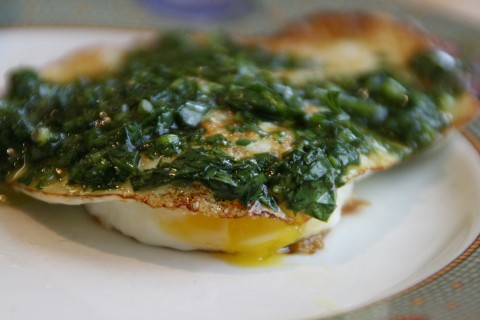 Fried Egg with Cilantro Pesto