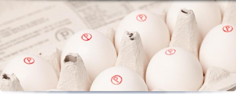 Safest Choice eggs in carton