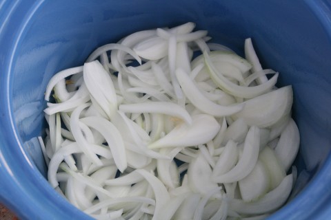 Onions in Crock-Pot on shockinglydelicious.com