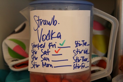 Strawberry-Infused Vodka