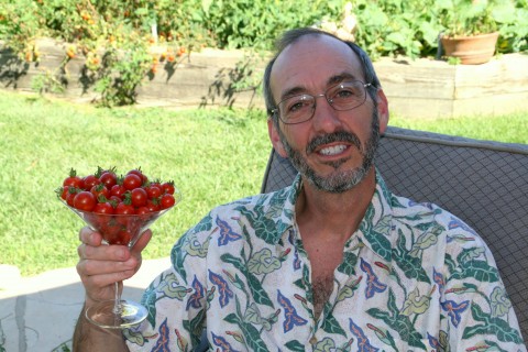 Summer Cherry Tomato Cocktail