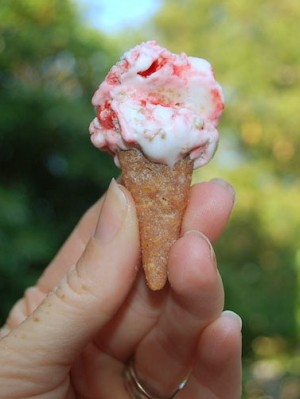 Tiny ice cream cone from http://themoodyfashionista.blogspot.com/2011/08/teeniest-tiniest-ice-cream-cone.html