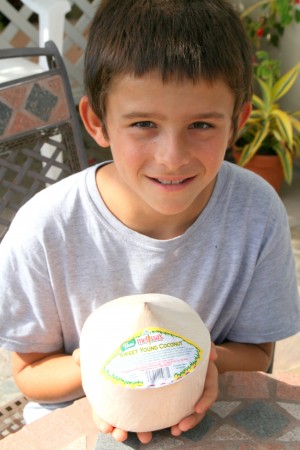 Sweet Young Coconut