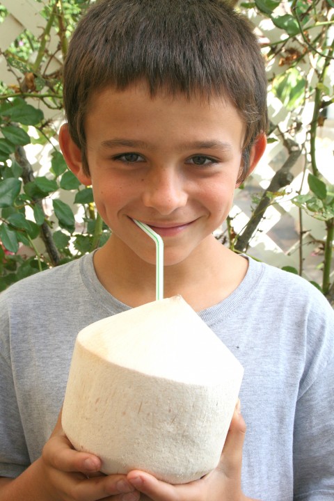 Sweet Young Coconut