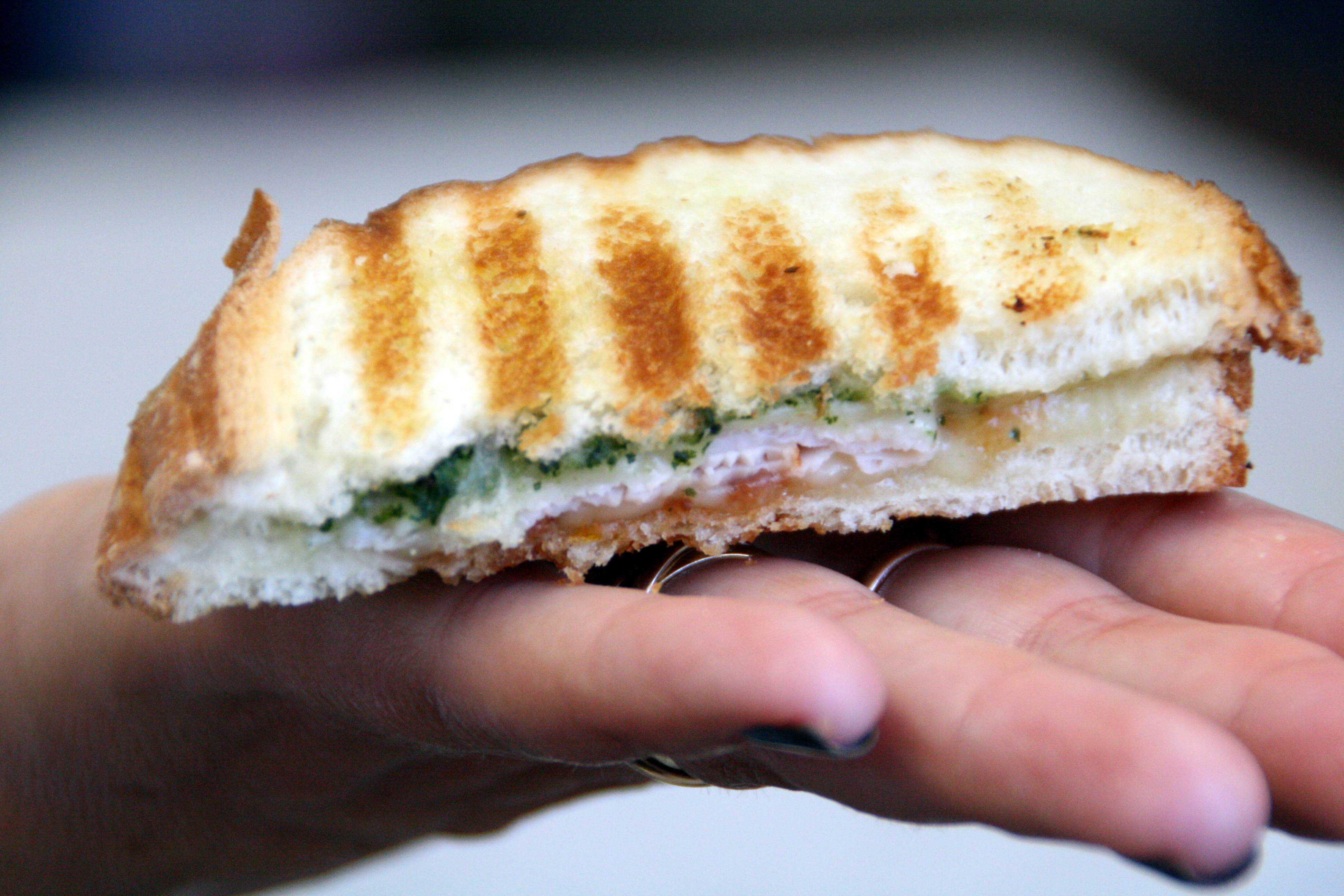 Half a Turkey Pesto Panini on an open-palmed hand