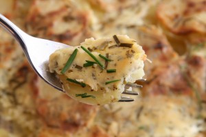 Bite of Garlic and Herb Potato Gratin