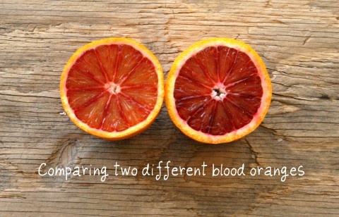 Blood oranges