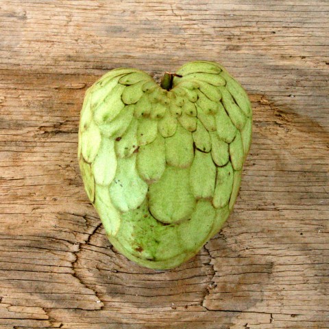 Heart-Shaped Cherimoya Fruit for Valentine's Day