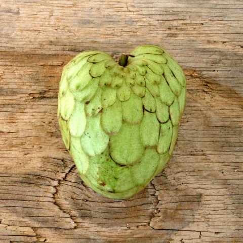 Heart-Shaped Cherimoya Fruit for Valentine's Day