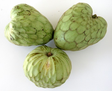 Cherimoya Fruit -- Nature's Ice Cream