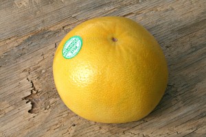 Melogold Grapefruit