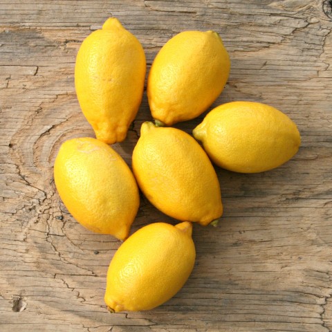 Seedless Lemons from Friedas