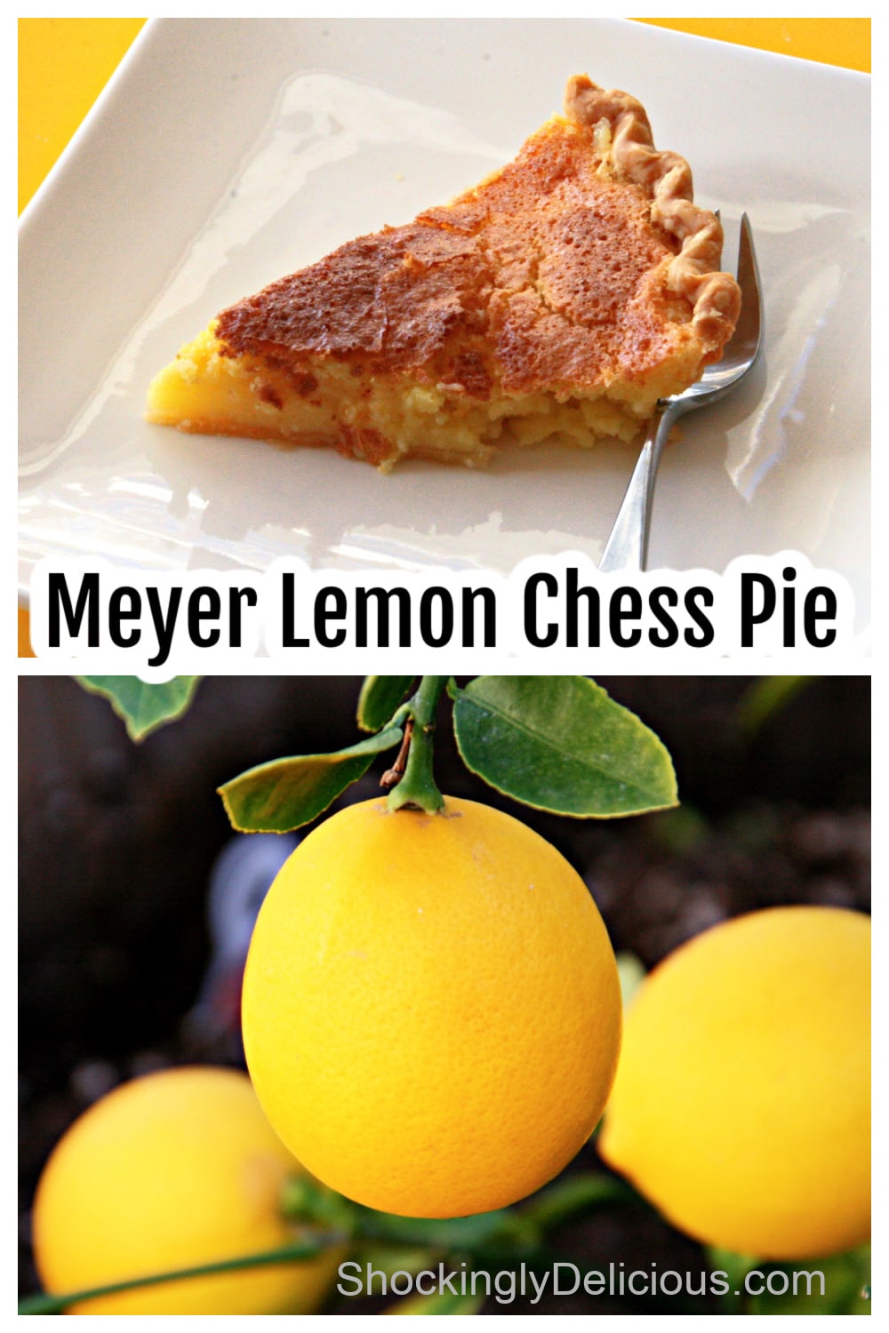 Meyer Lemon Chess Pie Pinterest Pin