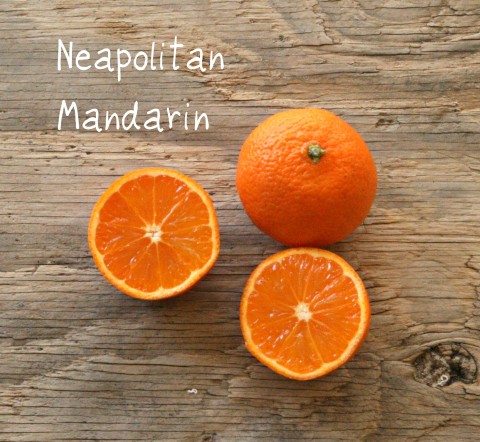 Neapolitan Mandarin