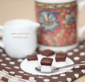 Chocolate Dipped Sugar Cubes