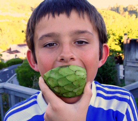 Eating a cherimoya in the backyard