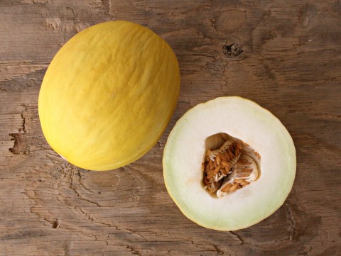 Gold Canary Melon