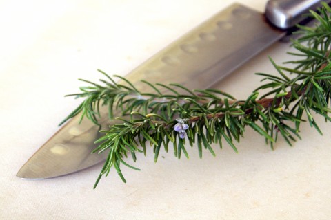 Rosemary