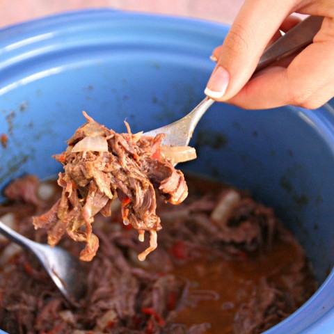 Dude Food Crock-Pot Carne Asada