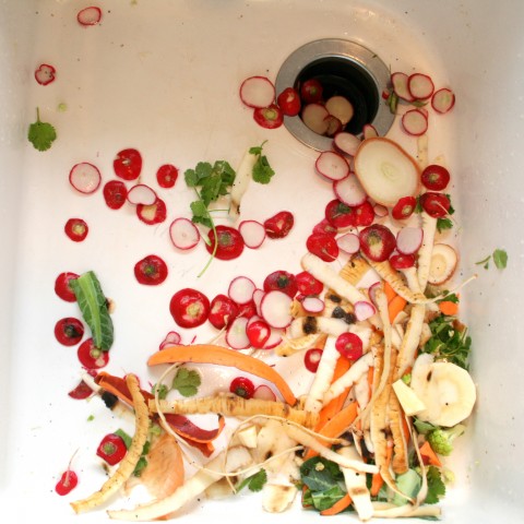 Wordless Wednesday: Still Life in Sink