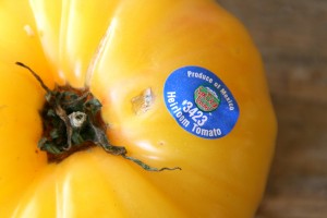 heirloom tomato from Mexico