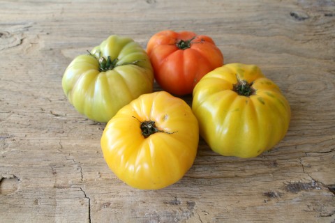 Heirloom tomatoes