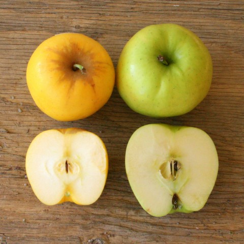 Opal brand apple vs Golden Delicious