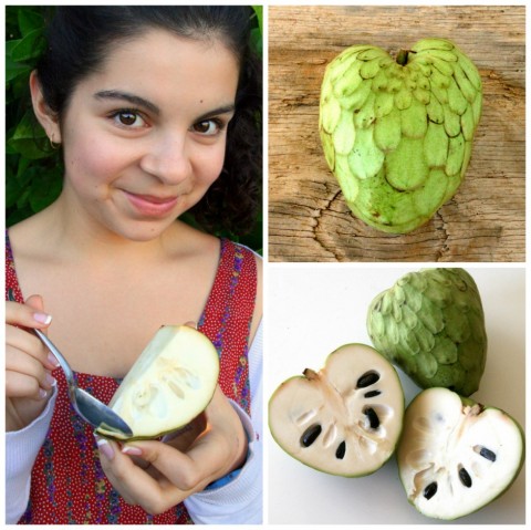 cherimoya is called the ice cream fruit