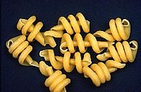 Trottole pasta