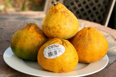 Ugli Fruit