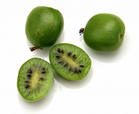 Baby kiwi shop