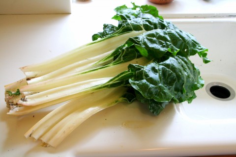 chard on counter