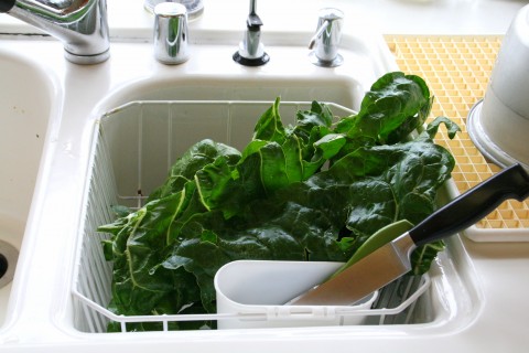 chard draining in sink