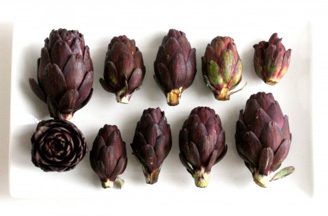 Fiesole Baby Purple Artichokes