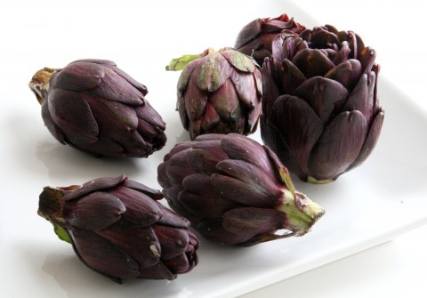 Fiesole Baby Purple Artichokes