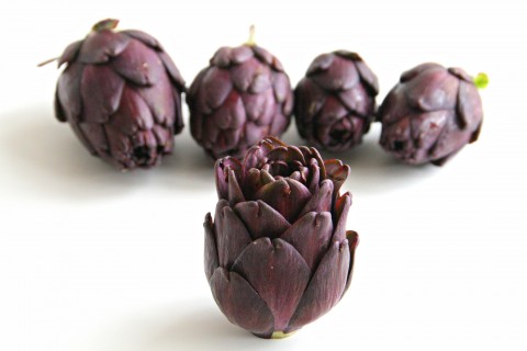 Fiesole Baby Purple Artichokes